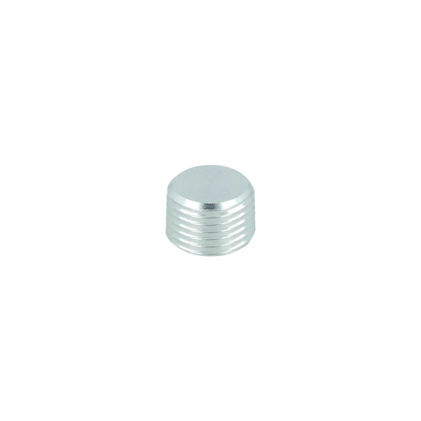 BOOST Products 1/8" NPT Plug, silver