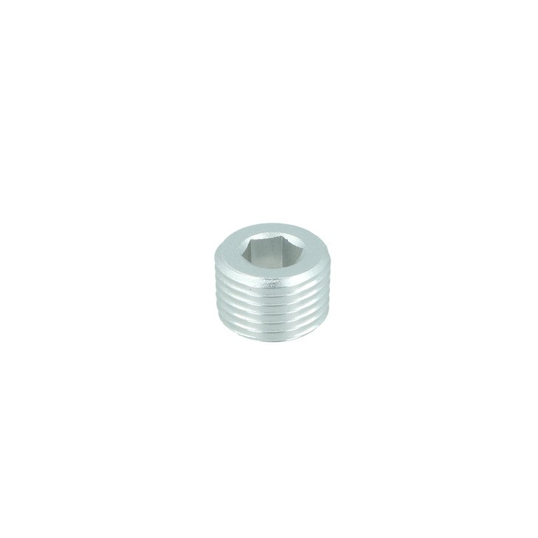 BOOST Products 1/8" NPT Plug, silver